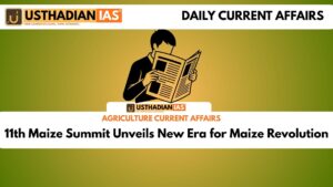 11th Maize Summit Unveils New Era for Maize Revolution
