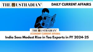 India Sees Modest Rise in Tea Exports in FY 2024-25
