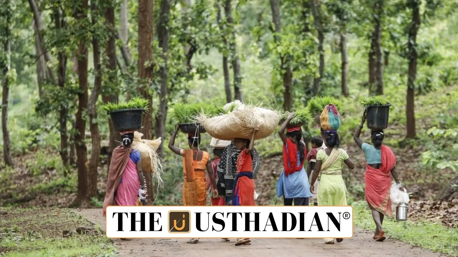 Migration Falls in India: What the '400 Million Dreams!' Report Really Tells Us