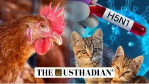H5N1 Bird Flu Hits Big Cats in India: A Public Health Wake-Up Call