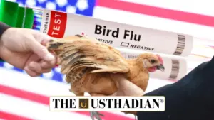 First U.S. Death from H5N1 Bird Flu Reported: What It Means for Global Health