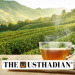 India Sees Modest Rise in Tea Exports in FY 2024-25