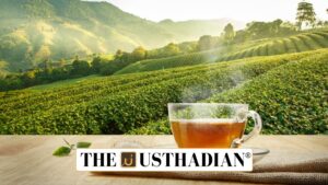 India Sees Modest Rise in Tea Exports in FY 2024-25