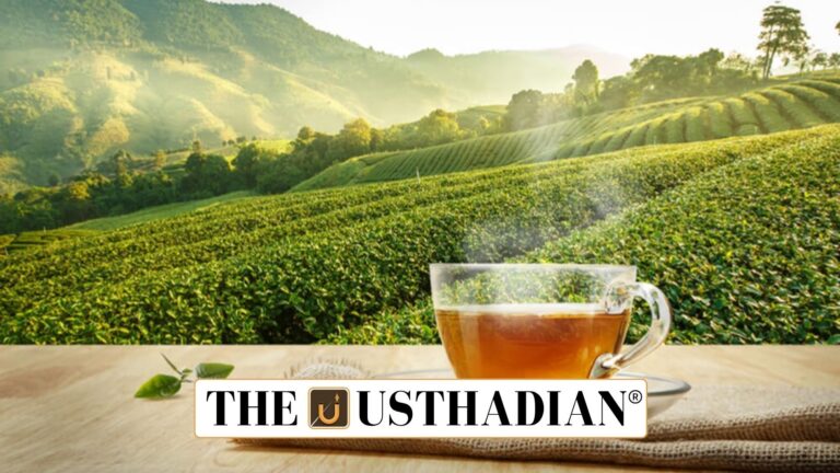 India Sees Modest Rise in Tea Exports in FY 2024-25