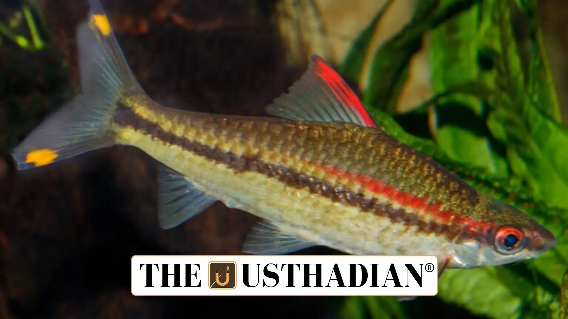 Kasaragod Leads Kerala’s Aquaculture Revolution