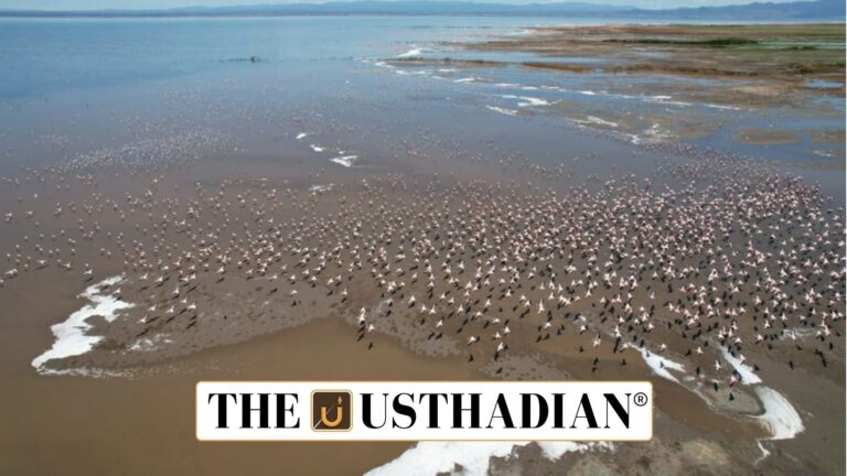Ramsar COP15 Revives Global Action for Wetland Protection