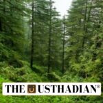 Forest Advisory Committee Reforms