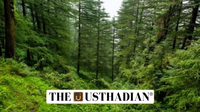 Forest Advisory Committee Reforms