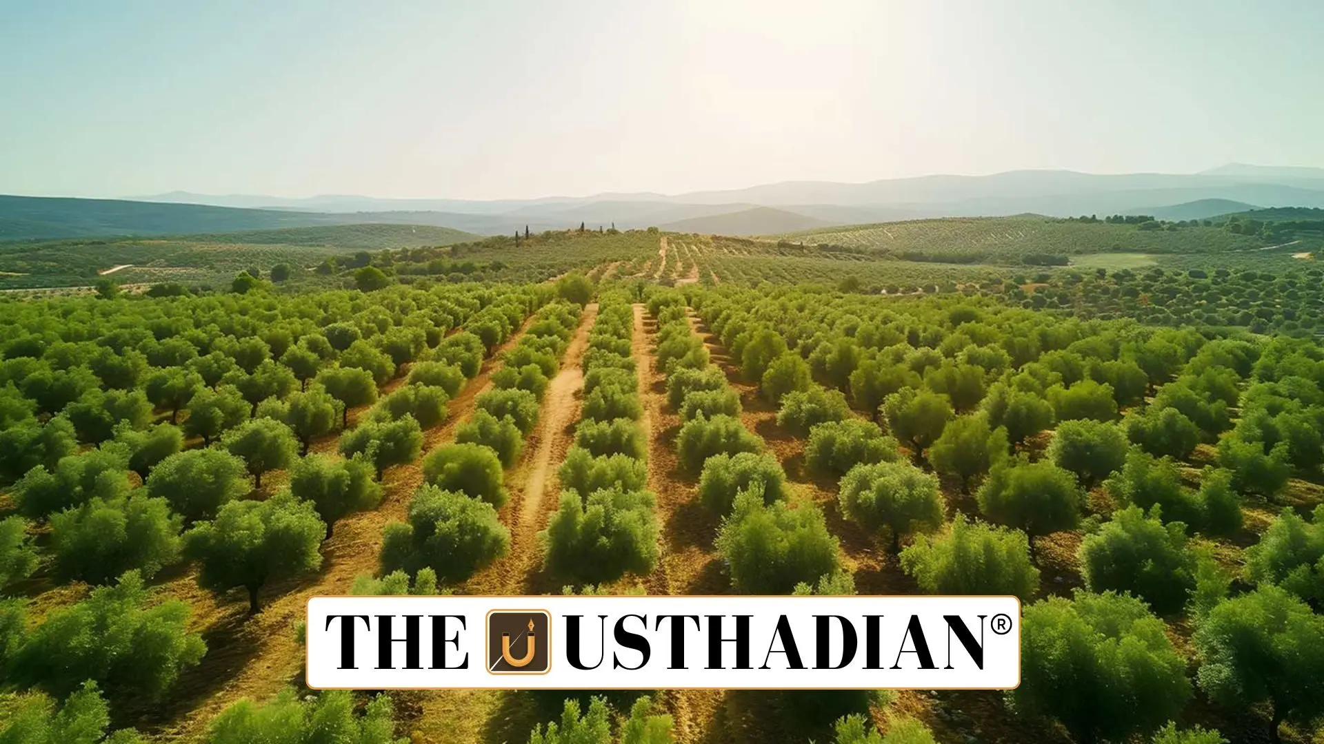 Centre Unveils Model Rules to Ease Agroforestry Regulations