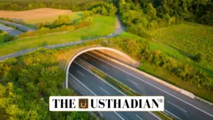 India unveils its longest animal overpass corridor on Delhi-Mumbai Expressway