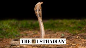 Naagam App for Ethical Snake Rescue in Tamil Nadu