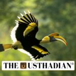 Tamil Nadu Unveils First Hornbill Conservation Hub in India