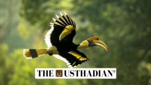 Tamil Nadu Unveils First Hornbill Conservation Hub in India