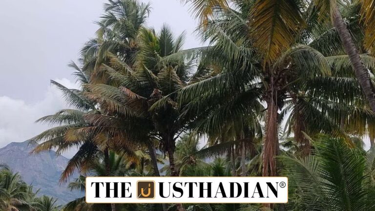 Smart Climate Sensors Combat Coconut Disease in Tamil Nadu