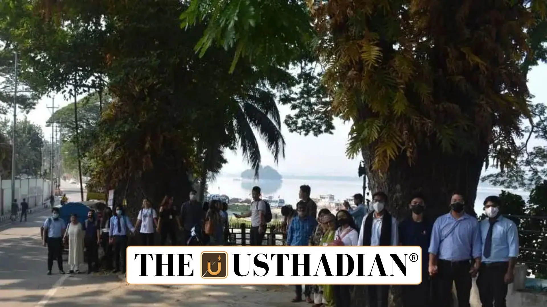 New Tree Discovery Adds Glory to Assam’s Botanical Legacy