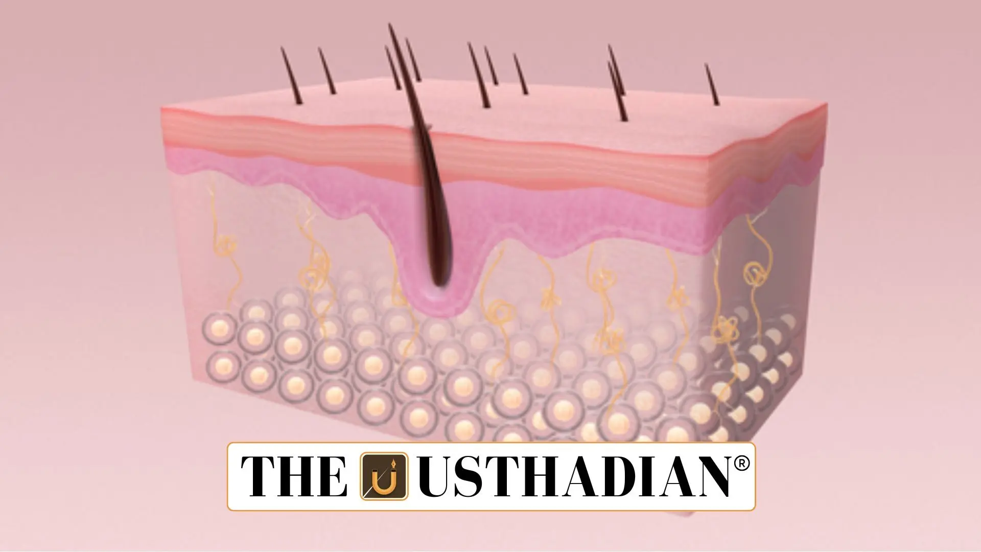 Kerala Sets Up Its First Skin Bank in Thiruvananthapuram