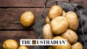 Gujarat emerges as India’s processed potato powerhouse