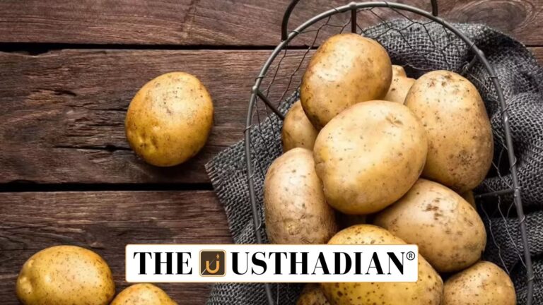 Gujarat emerges as India’s processed potato powerhouse