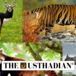 Kerala Dominates India’s Faunal Findings in 2024