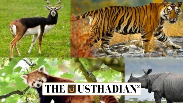 Kerala Dominates India’s Faunal Findings in 2024