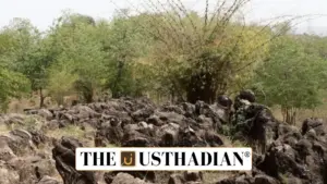 Salkhan Fossil Park Added to UNESCO Tentative List