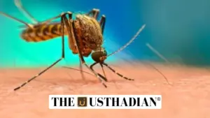 National Dengue Day 2025: Raising Awareness to Combat a Growing Threat