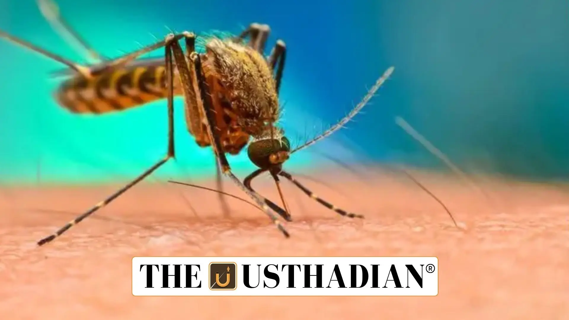 National Dengue Day 2025: Raising Awareness to Combat a Growing Threat