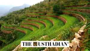 Globally Important Agricultural Heritage Systems and Their Role in Sustainable Farming