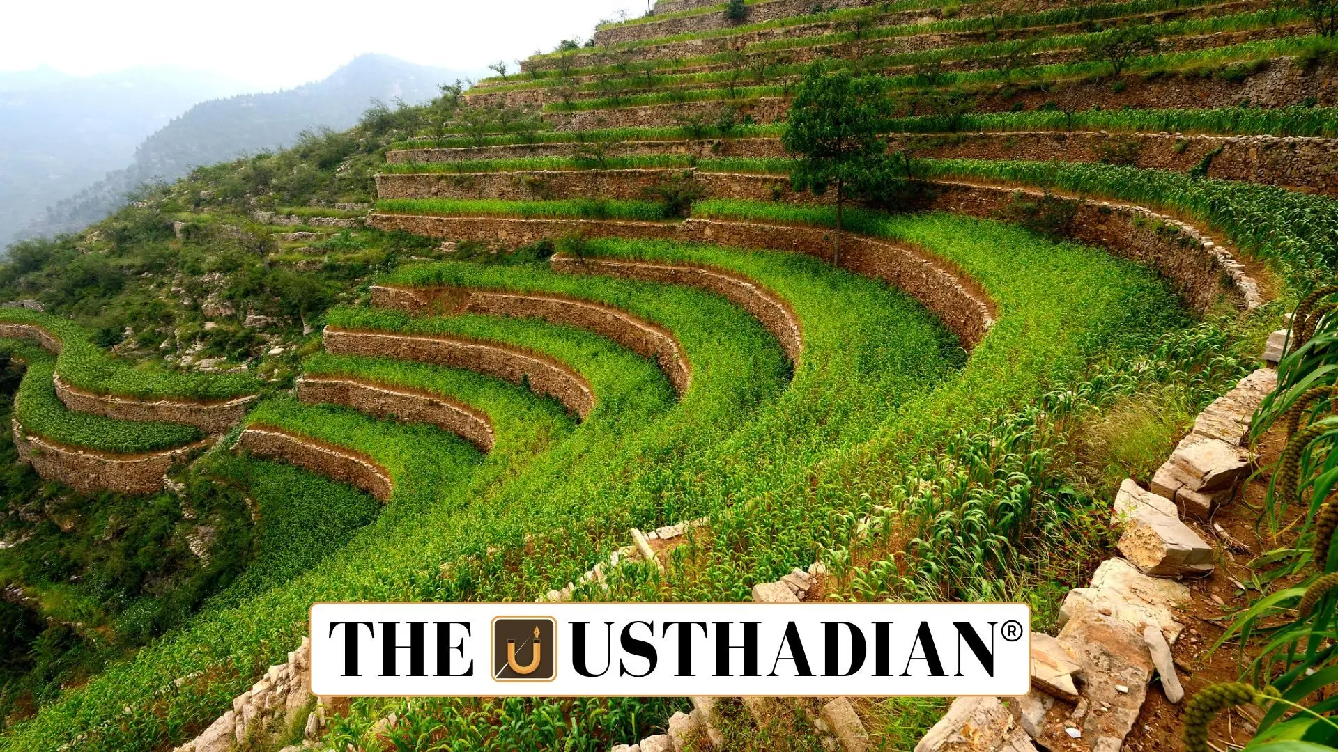 Globally Important Agricultural Heritage Systems and Their Role in Sustainable Farming