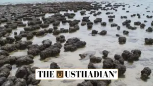 Stromatolites Discovery in Himachal Pradesh