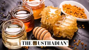 India sees 60% rise in honey production over a decade