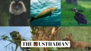 Tamil Nadu shifts gears on endangered species fund management