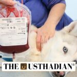 India Issues Guidelines for Animal Blood Banks