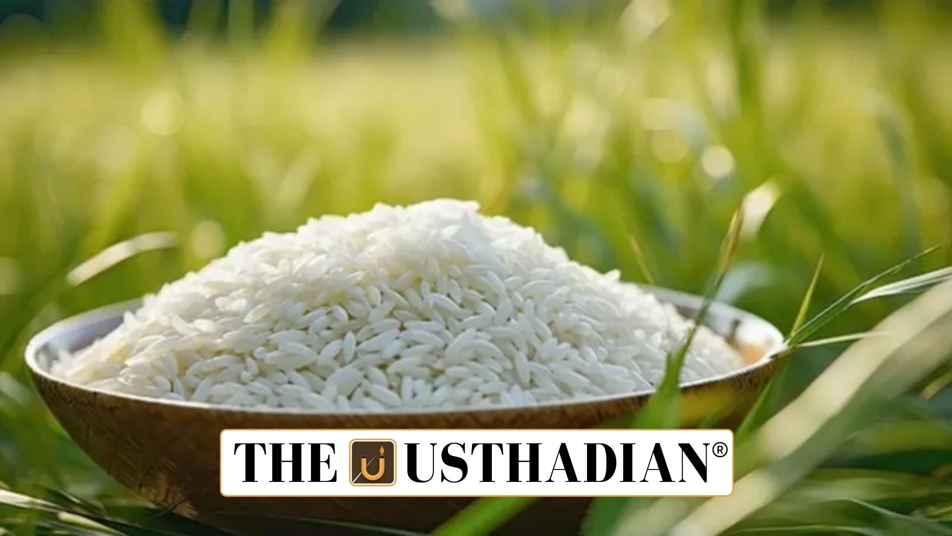Fortified Rice Scheme Extended Till 2028 for Nutrition Security