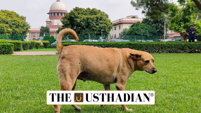 Supreme Court’s Modified Directions on Stray Dogs