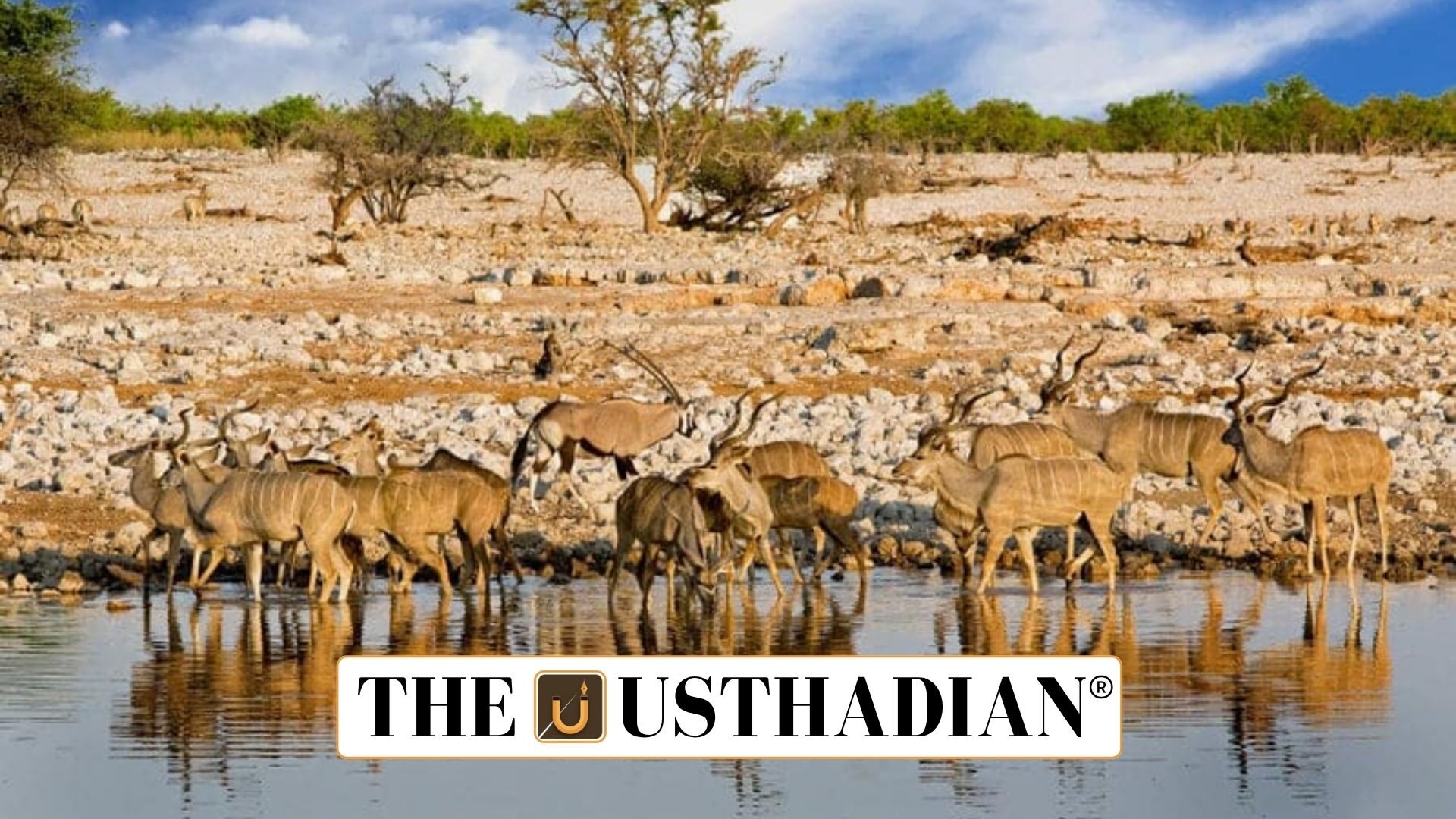Ungulate Crisis in India
