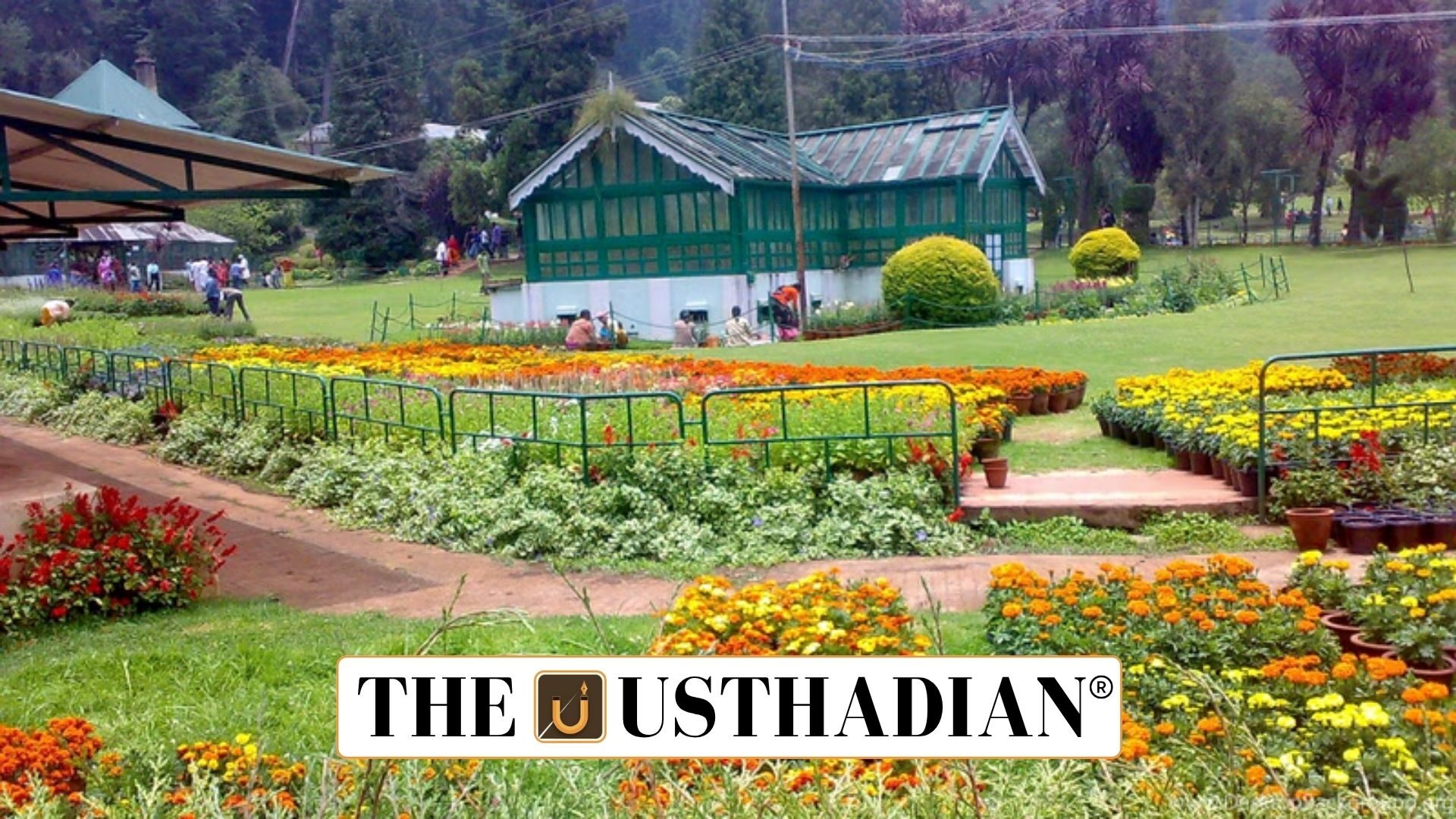First Plantation Show in Nilgiris