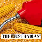 Maize Expansion in India with Ethanol Boost