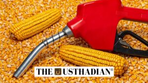 Maize Expansion in India with Ethanol Boost