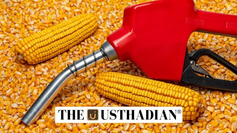 Maize Expansion in India with Ethanol Boost