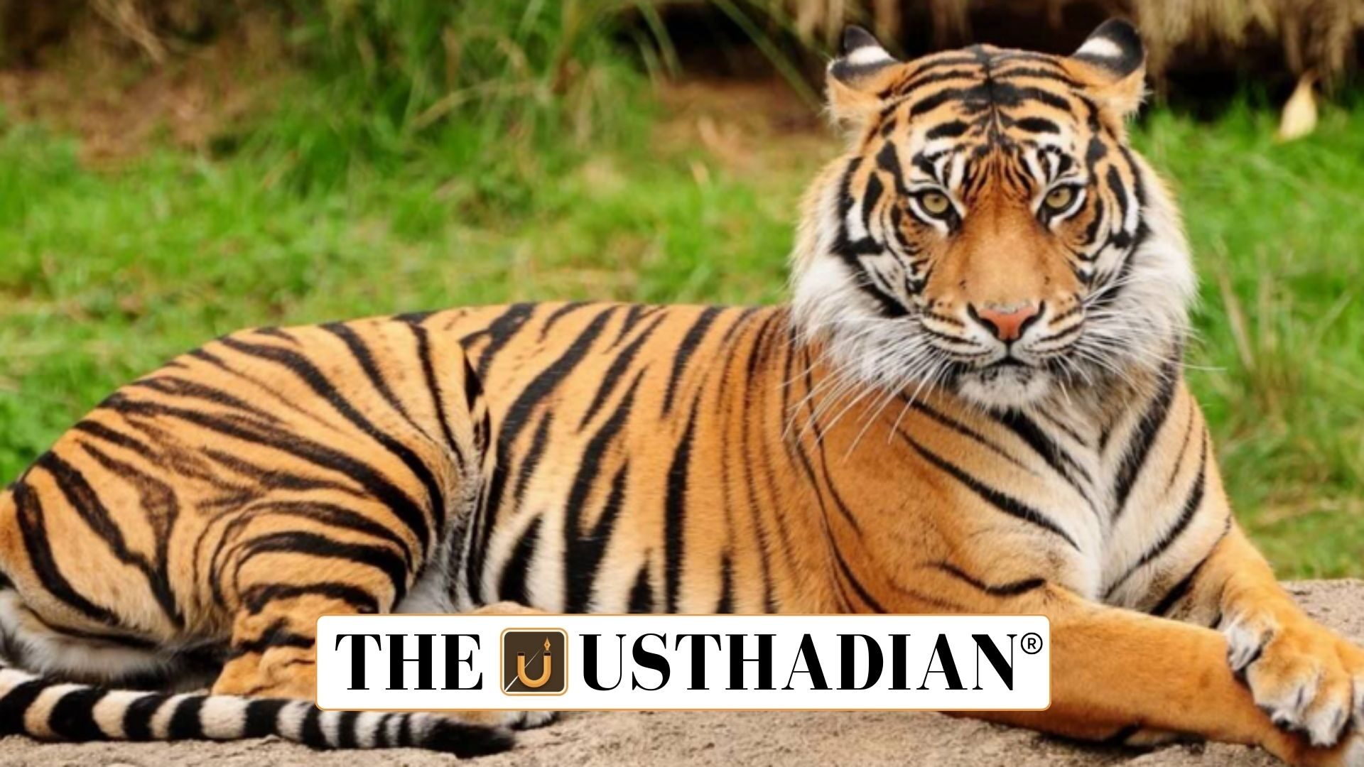Sundarbans Tiger Reserve Expansion