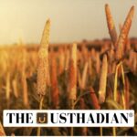 Odisha's SOP Boosts Traditional Seed Revival