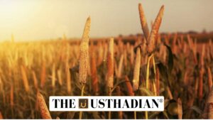 Odisha's SOP Boosts Traditional Seed Revival