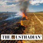 Crop Residue and its Ecological Impact
