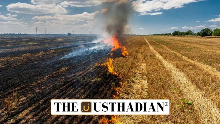 Crop Residue and its Ecological Impact