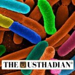 Genetically Engineered Bacteria Powering Next-Generation Biosensors