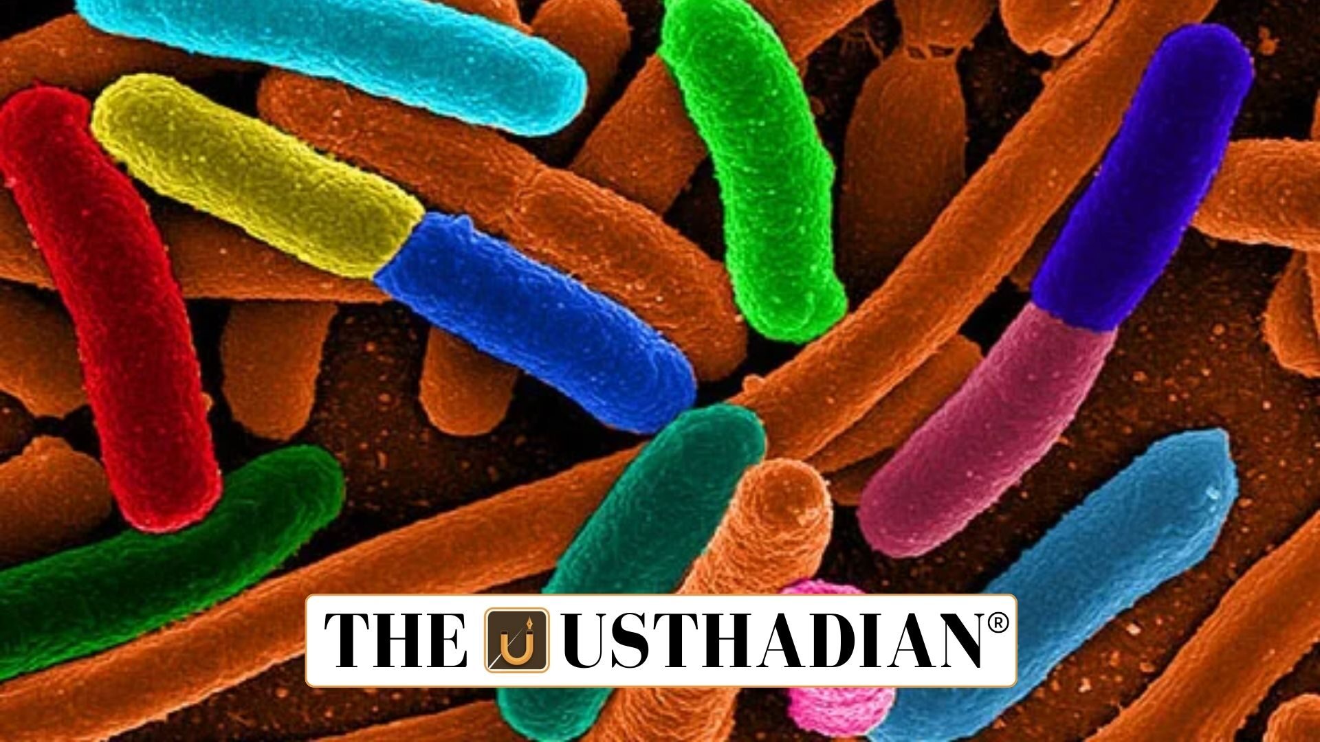 Genetically Engineered Bacteria Powering Next-Generation Biosensors