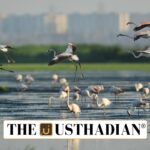 Chennai City Biodiversity Index Sets New Benchmark