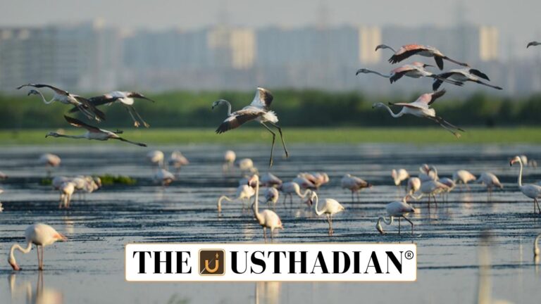 Chennai City Biodiversity Index Sets New Benchmark