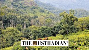 India’s Forest Loss Far Outweighs Gains in Recent Years